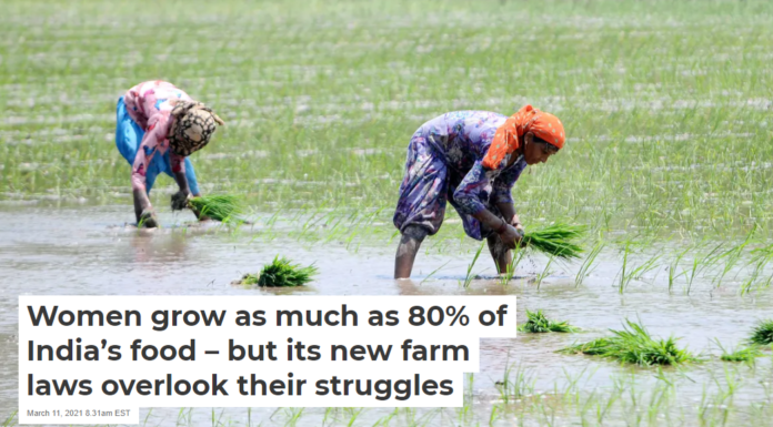 Women grow as much as 80% of India’s food – but its new farm laws overlook their struggles