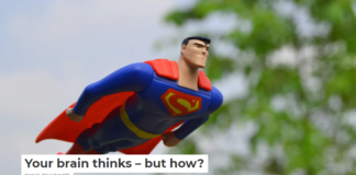 Your brain thinks – but how?