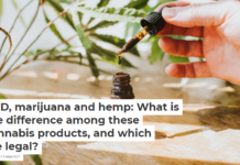 CBD, marijuana and hemp: What is the difference among these cannabis products, and which are legal?