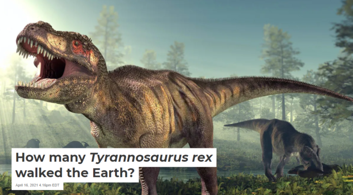How many Tyrannosaurus Rex walked the Earth?