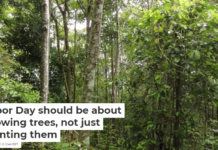 Arbor Day should be about growing trees, not just planting them