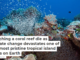 Watching a coral reef die as climate change devastates one of the most pristine tropical island areas on Earth
