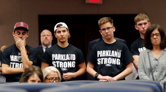 Mental illness and gun laws: What you may not know about the complexities