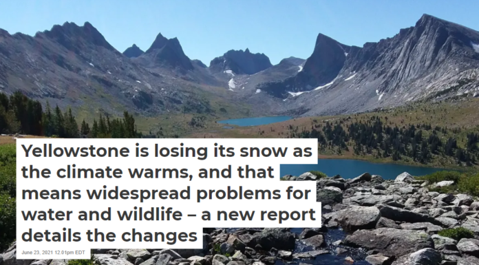 Yellowstone is losing its snow as the climate warms, and that means widespread problems for water and wildlife – a new report details the changes