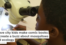 I have city kids make comic books to create a buzz about mosquitoes and ecology