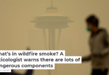 What’s in wildfire smoke? A toxicologist warns there are lots of dangerous components