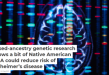 Mixed-ancestry genetic research shows a bit of Native American DNA could reduce risk of Alzheimer’s disease