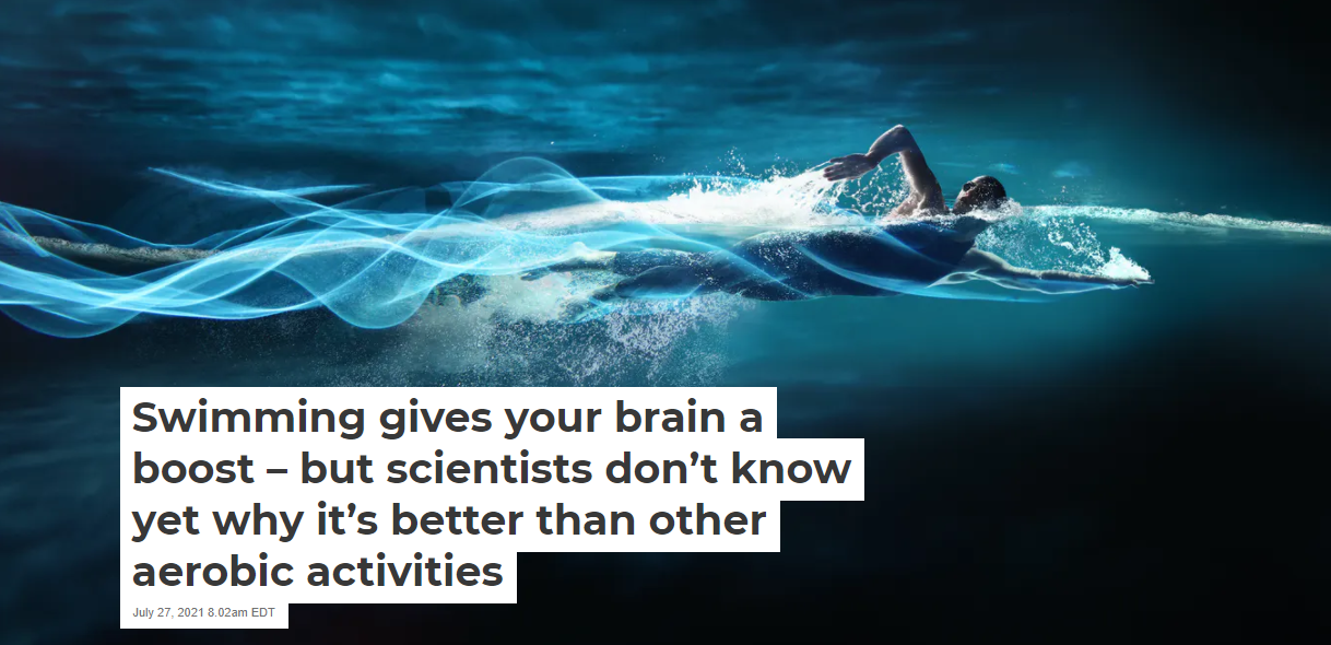 Swimming gives your brain a boost but scientists don’t know yet why