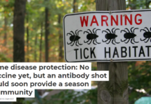 Lyme disease protection: No vaccine yet, but an antibody shot could soon provide a season of immunity