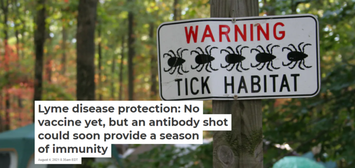 Ticks can carry bacteria that cause Lyme disease. jwilkinson/iStock via Getty Images Plus