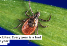 Tick bites: Every year is a bad tick year