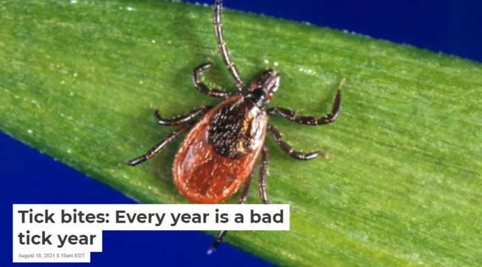 Tick bites: Every year is a bad tick year