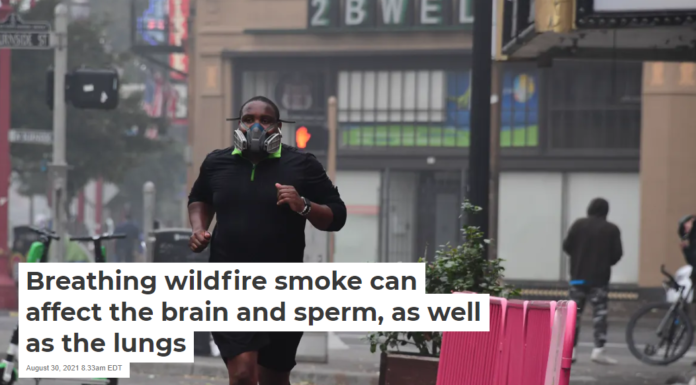 Breathing wildfire smoke can affect the brain and sperm, as well as the lungs