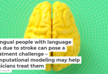 Bilingual people with language loss due to stroke can pose a treatment challenge – computational modeling may help clinicians treat them
