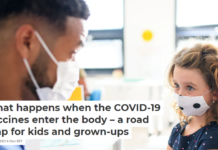 What happens when the COVID-19 vaccines enter the body – a road map for kids and grown-ups
