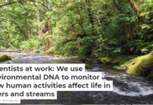 Scientists at work: We use environmental DNA to monitor how human activities affect life in rivers and streams