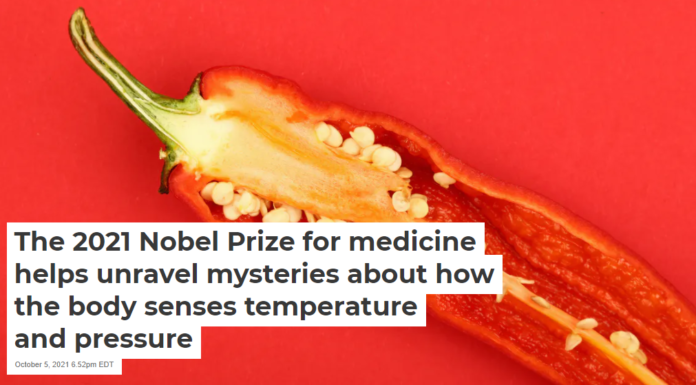 The 2021 Nobel Prize for medicine helps unravel mysteries about how the body senses temperature and pressure