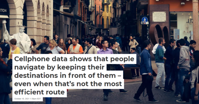 People navigate cities in much the same way animals navigate their environments. Max Böhme/Unsplash