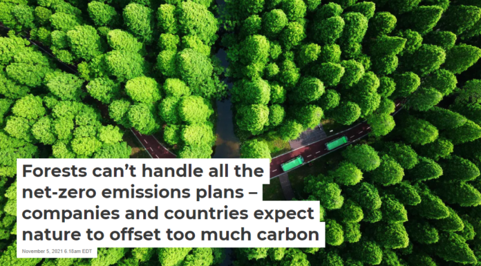 Forests can’t handle all the net-zero emissions plans – companies and countries expect nature to offset too much carbon