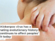 The chickenpox virus has a fascinating evolutionary history that continues to affect peoples’ health today