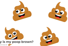 Why is my poop brown?
