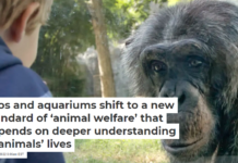 Zoos and aquariums shift to a new standard of ‘animal welfare’ that depends on deeper understanding of animals’ lives