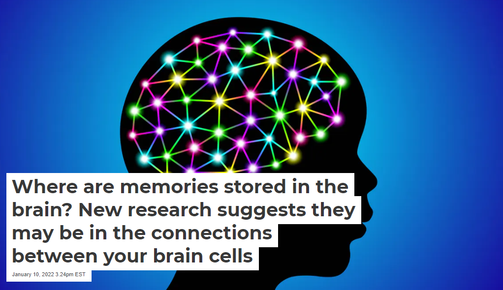 Where are memories stored in the brain? New research suggests they