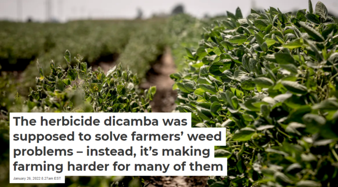 The herbicide dicamba was supposed to solve farmers’ weed problems – instead, it’s making farming harder for many of them