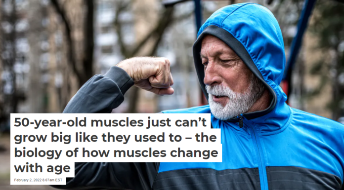 50-year-old muscles just can’t grow big like they used to – the biology of how muscles change with age