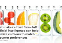 What makes a fruit flavorful? Artificial intelligence can help optimize cultivars to match consumer preferences