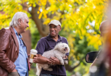 How the presence of pets builds trust among people