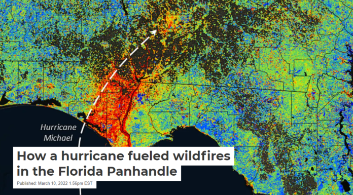 How a hurricane fueled wildfires in the Florida Panhandle