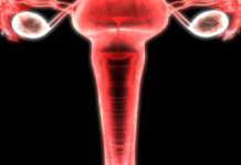 From healthy births to sustainable management, 5 essential reads on the fascinating and complex vagina