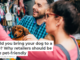 Would you bring your dog to a shop? Why retailers should be more pet-friendly