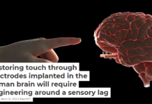 Restoring touch through electrodes implanted in the human brain will require engineering around a sensory lag