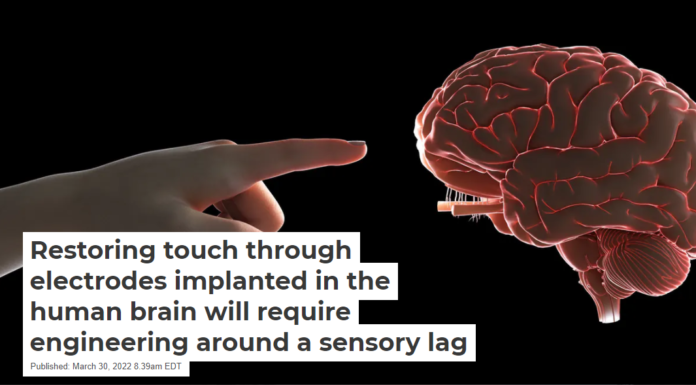 Restoring touch through electrodes implanted in the human brain will require engineering around a sensory lag