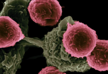 ‘Masked’ cancer drug stealthily trains immune system to kill tumors while sparing healthy tissues, reducing treatment side effects