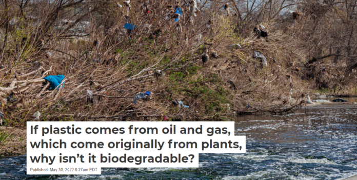 Plastic trash accumulates in trees and shrubs along the Los Angeles River. Citizen of the Planet/Education Images/Universal Images Group via Getty Images