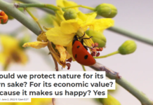 Should we protect nature for its own sake? For its economic value? Because it makes us happy? Yes