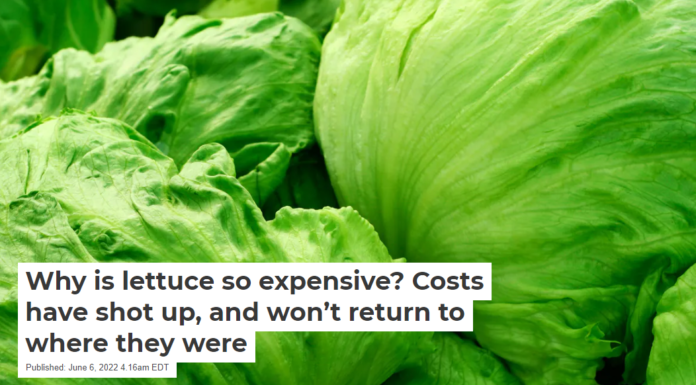 Why is lettuce so expensive? Costs have shot up, and won’t return to where they were