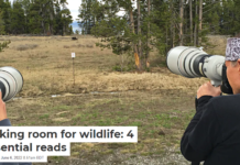 Making room for wildlife: 4 essential reads