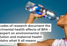 Decades of research document the detrimental health effects of BPA – an expert on environmental pollution and maternal health explains what it all means