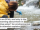 What are PFAS, and why is the EPA warning about them in drinking water? An environmental health scientist explains