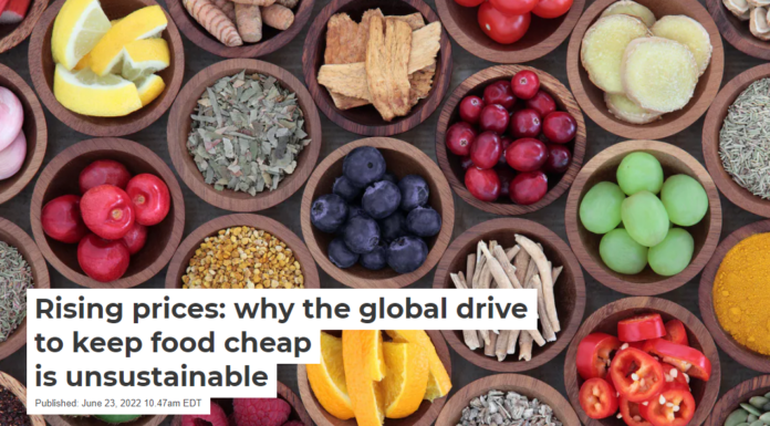 Rising prices: why the global drive to keep food cheap is unsustainable