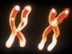 Y chromosome loss through aging can lead to an increased risk of heart failure and death from cardiovascular disease, new research finds
