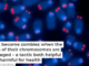 Cells become zombies when the ends of their chromosomes are damaged – a tactic both helpful and harmful for health