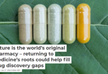 Nature is the world’s original pharmacy – returning to medicine’s roots could help fill drug discovery gaps