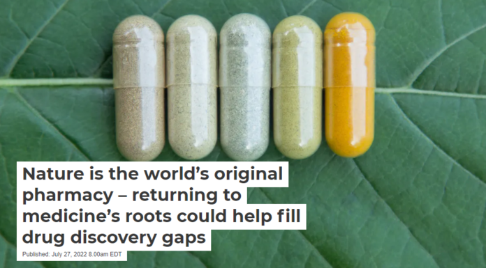 Nature is the world’s original pharmacy – returning to medicine’s roots could help fill drug discovery gaps