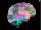 Illuminating the brain one neuron and synapse at a time – 5 essential reads about how researchers are using new tools to map its structure and function