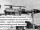 The Soviet Union once hunted endangered whales to the brink of extinction – but its scientists opposed whaling and secretly tracked its toll
